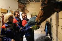 в конюшне, МС привез траву лошадям.jpg